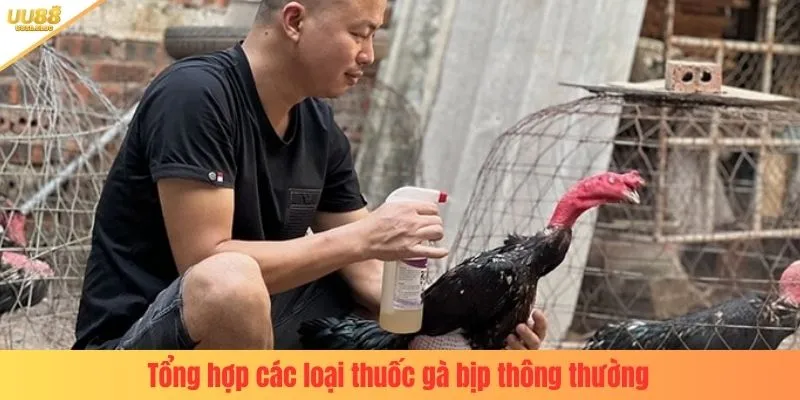 Tổng hợp các loại thuốc gà bịp thông thường